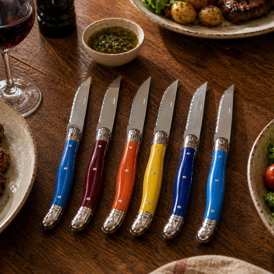 Set de 6 Couteaux de Table 23 cm à Manches Colorés – Couteaux de Cuisine pour Repas Quotidien